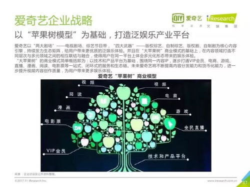 2017年中国网络自制内容行业研究报告 数字内容制作服务的崛起与变革